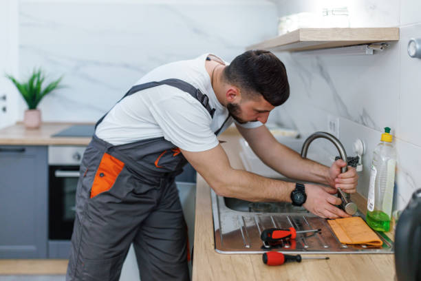 Best Commercial Plumbing Services  in Homosassa Springs, FL