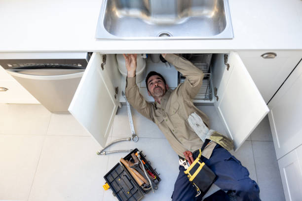 Best Commercial Plumbing Services  in Homosassa Springs, FL