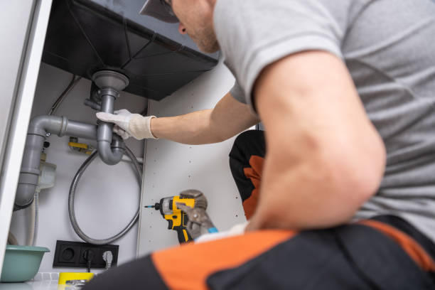 Best Clogged Drain Plumber  in Homosassa Springs, FL