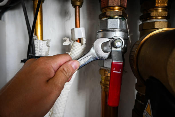 Best Same-Day Plumbing Service  in Homosassa Springs, FL